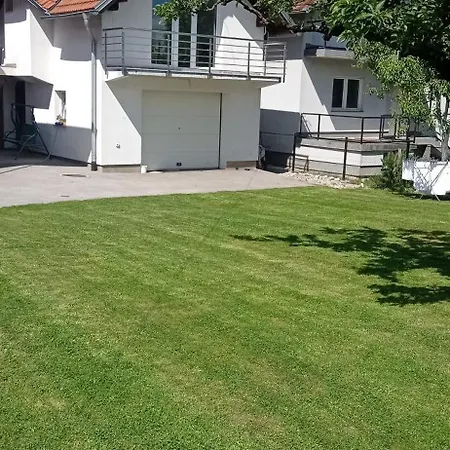 Sofia